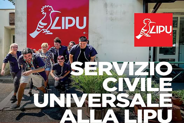 lipu cruma livorno