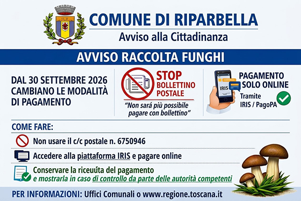 raccolta funghi